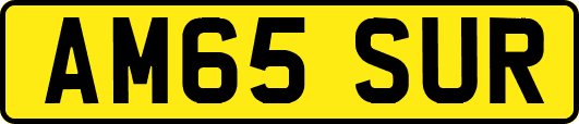 AM65SUR