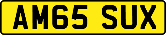 AM65SUX
