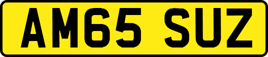 AM65SUZ