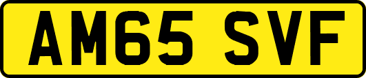 AM65SVF