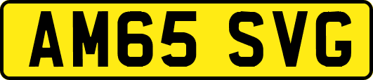 AM65SVG