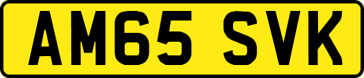 AM65SVK