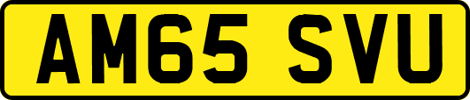 AM65SVU