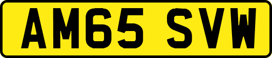 AM65SVW