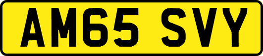 AM65SVY