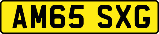 AM65SXG