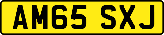 AM65SXJ