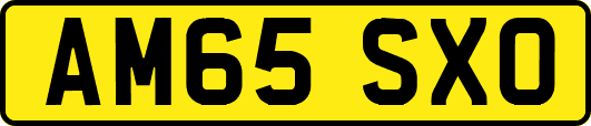 AM65SXO
