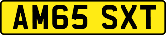 AM65SXT