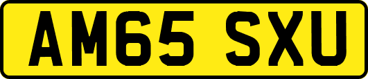 AM65SXU