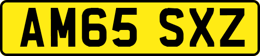 AM65SXZ