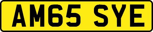 AM65SYE