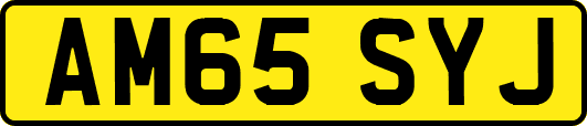 AM65SYJ