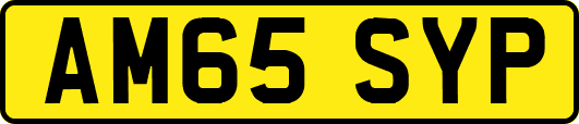 AM65SYP