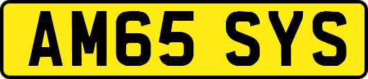 AM65SYS