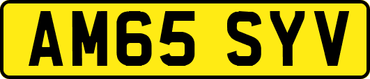 AM65SYV