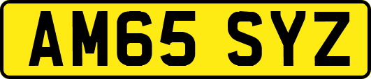 AM65SYZ