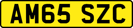 AM65SZC