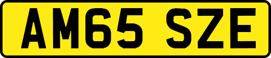AM65SZE