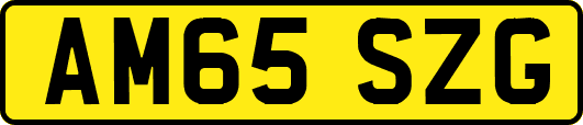 AM65SZG