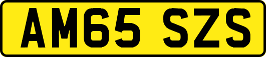 AM65SZS
