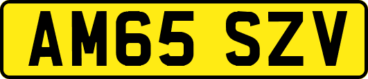 AM65SZV