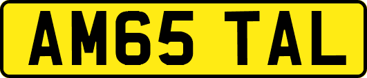 AM65TAL