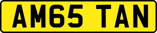 AM65TAN