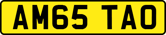 AM65TAO