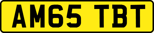 AM65TBT