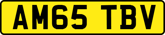AM65TBV