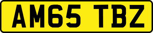 AM65TBZ