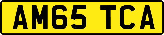AM65TCA