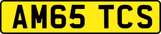 AM65TCS