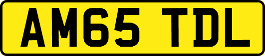 AM65TDL