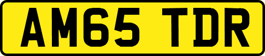 AM65TDR