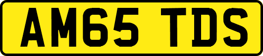 AM65TDS