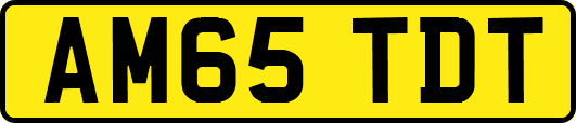 AM65TDT