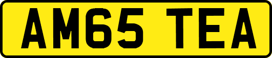 AM65TEA