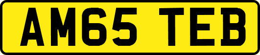 AM65TEB