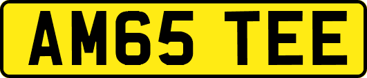 AM65TEE