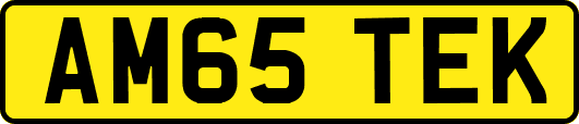 AM65TEK