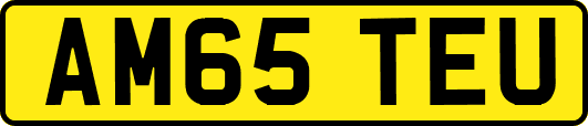 AM65TEU