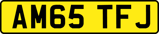 AM65TFJ