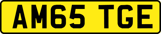AM65TGE