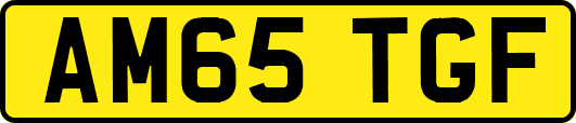 AM65TGF