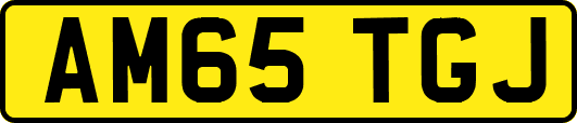 AM65TGJ