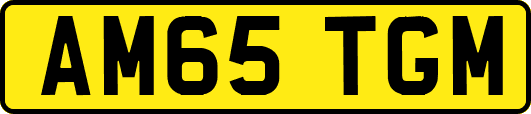 AM65TGM