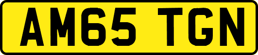 AM65TGN