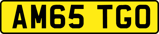 AM65TGO